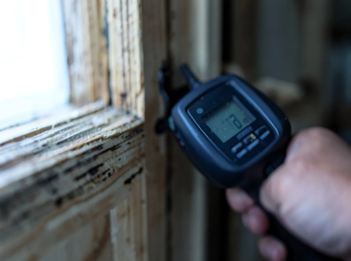 Moisture Inspection And Documentation in Hessel, MI